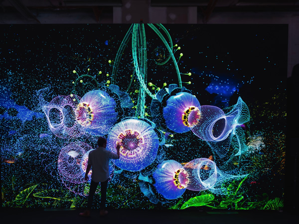 Illuminate Adelaide in South Australia