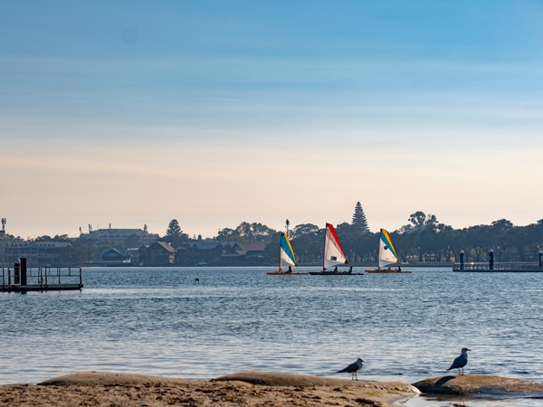 kayak tour with Salt and Bush Eco Tours