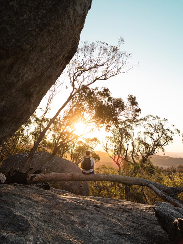 a man sitting on a tree branch facing the sunrise
