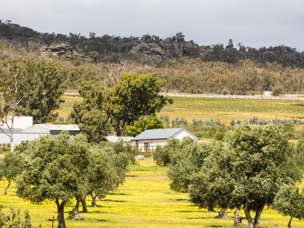 Grampians Olive Co in the Grampians, Vic