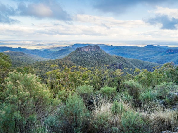 The Pilliga in NSW