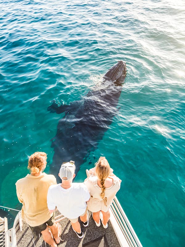 three people whale watching at Hervey Bay
