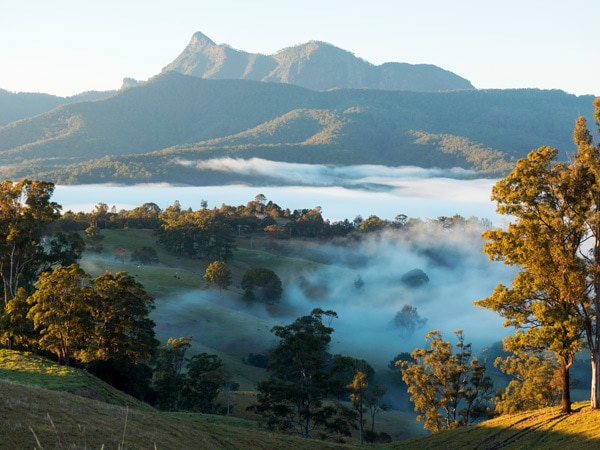 a scenic view of the Mighty Wollumbin/Mt Warning