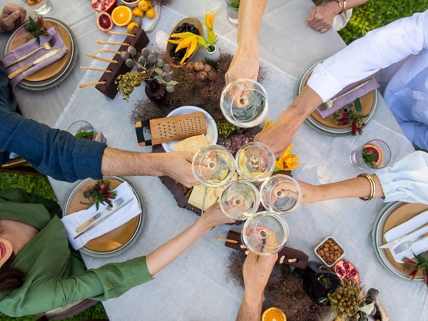 guests clanking glasses at lunch in Piccolo Family Farm