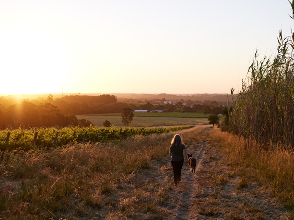 a woman walking around the vineyard