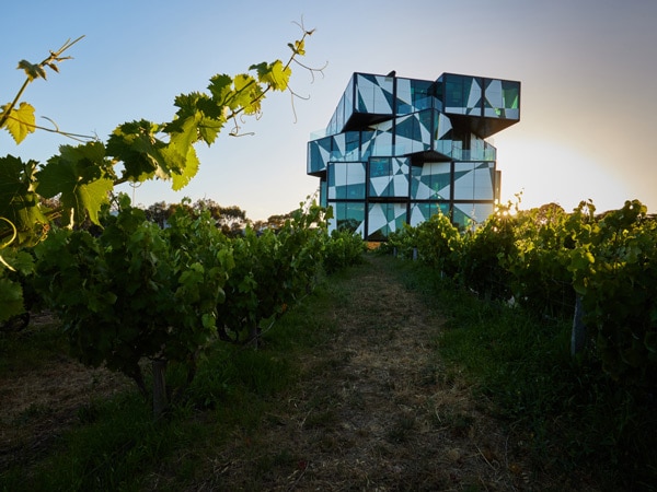 d'Arenberg Cube in McLaren Vale