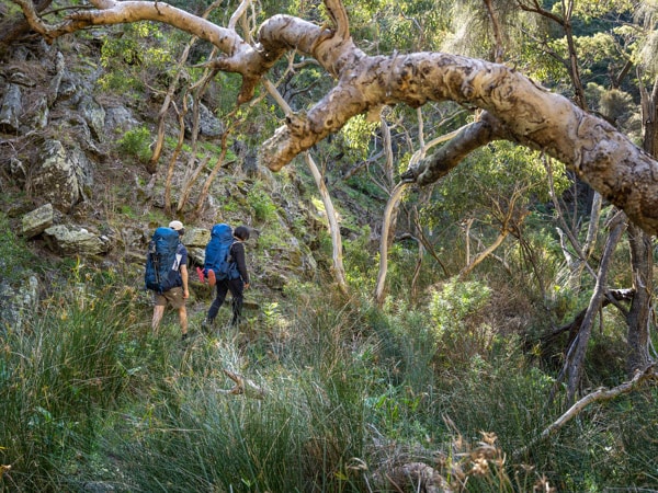 Wild South Coast Way in Deep Creek National Park, South Australia