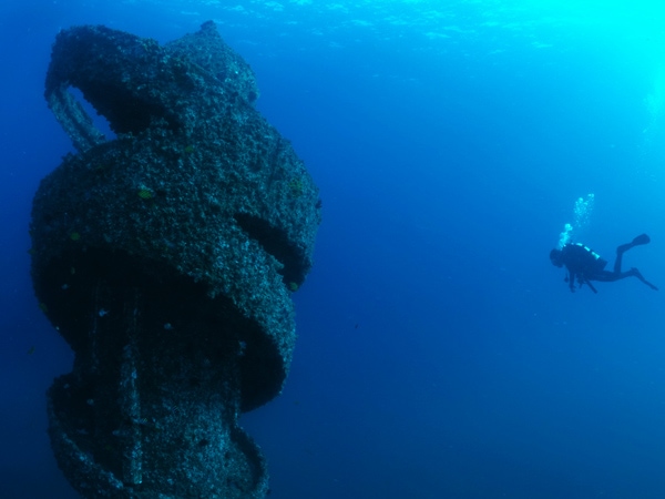 diving the wonder reef