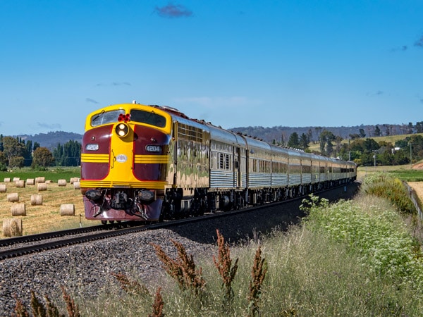a train moving along Piccolo Family Farm