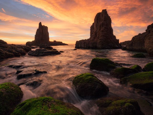 cathedral rocks in kiama