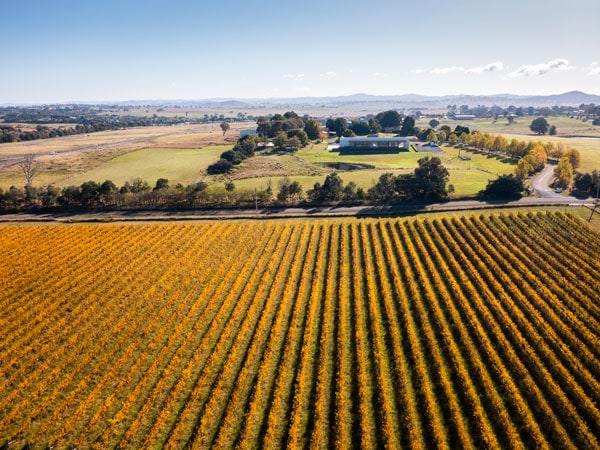 an overhead shot of the vineyards at Canberra Wine District