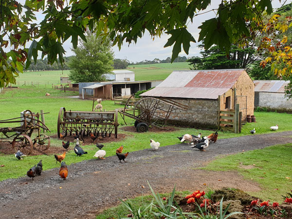 Echo Farm Mount Gambier