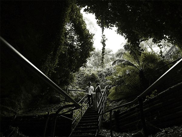 Engelbrecht Cave Mount Gambier
