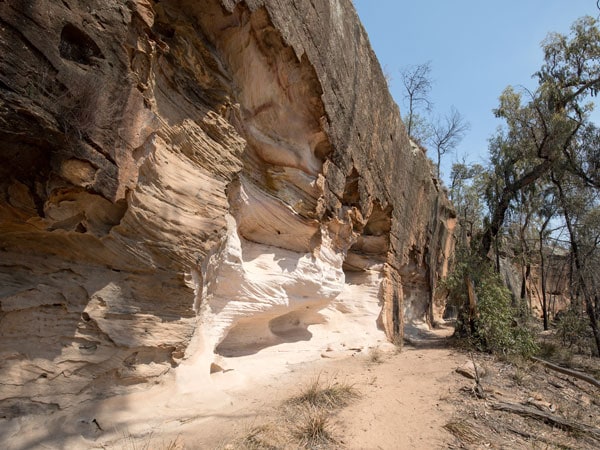 The Pilliga in Mt Kaputar National Park