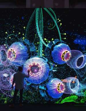 The most exciting winter festivals around Australia