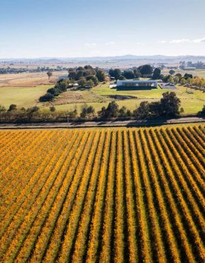 Stomp Festival Canberra Wine District - Tourism Australia