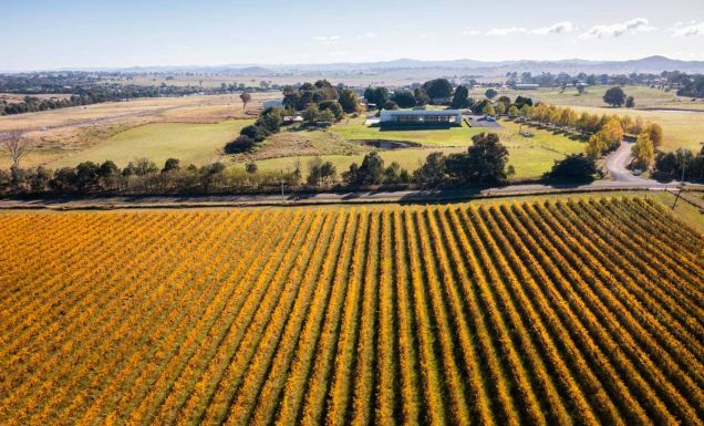 Stomp Festival Canberra Wine District - Tourism Australia