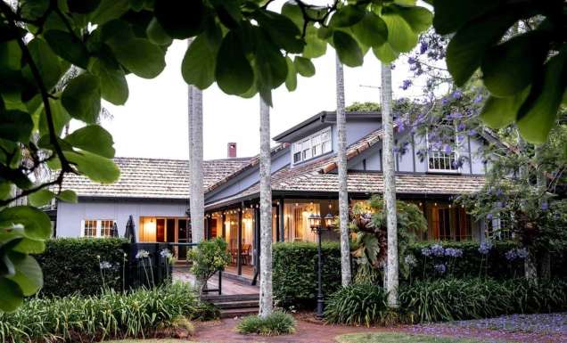 plants surrounding the exterior of Eaglemount on Tamborine