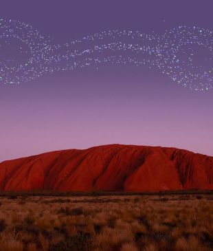 <p><i>7 emerging experiences</i> in the <strong>Northern Territory</strong></p>
