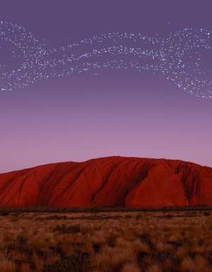 Wintjiri Wiru Uluru