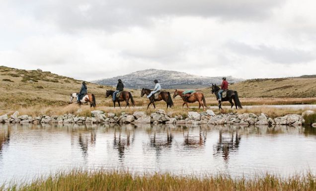 Mount Beauty Bogong Horseback