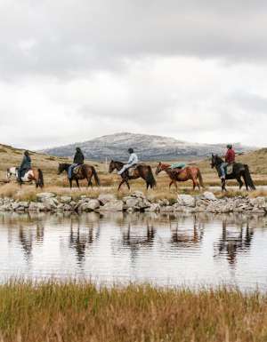 Mount Beauty Bogong Horseback