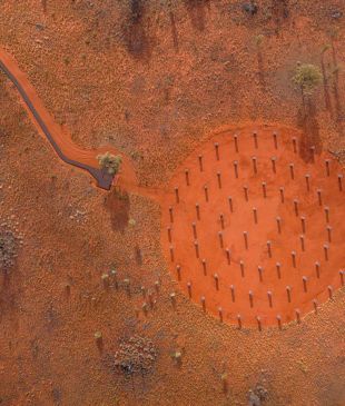 <p><i>The top 12 emerging cultural experiences</i> in <strong>Australia</strong></p>
