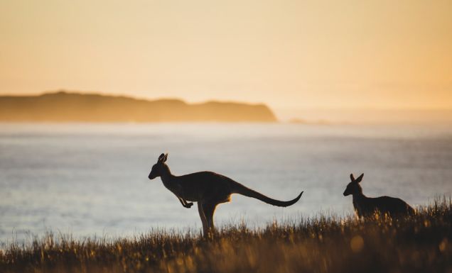 The top 9 emerging sustainable experiences in Australia