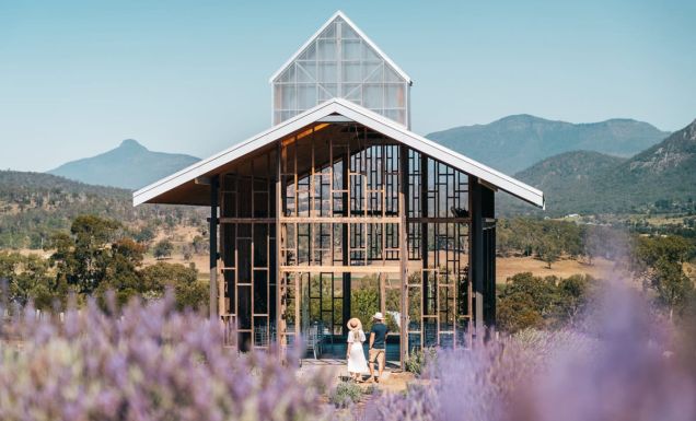 a lavender farm at Kooroomba Estate