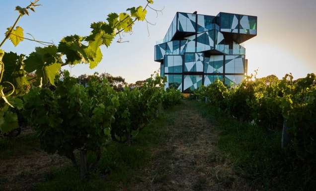 d'Arenberg Cube in McLaren Vale