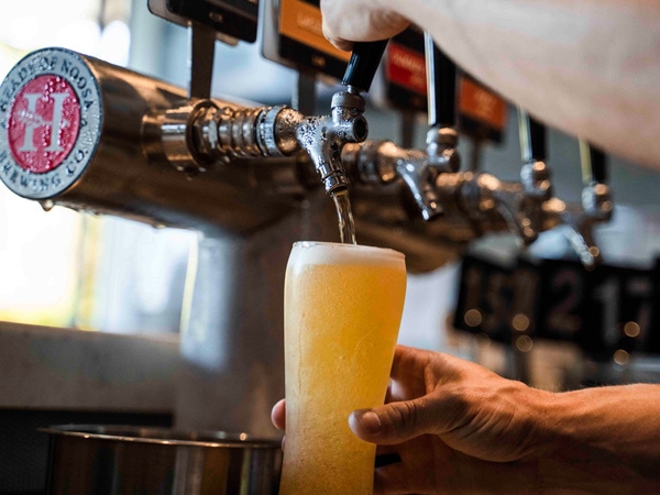 a hand holding a glass of beer on tap at Heads of Noosa Brewing Co.