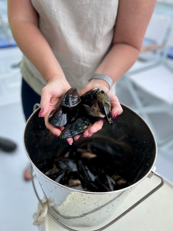 a hand holding mussels at The Bellarine Peninsula