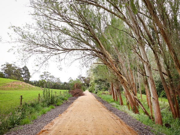 the Great Southern Rail Trail around South Gippsland
