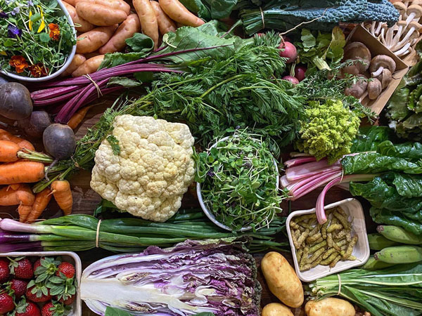 leafy greens at Lismore Farmers Market
