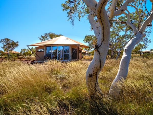a luxury eco tent in natural bush setting