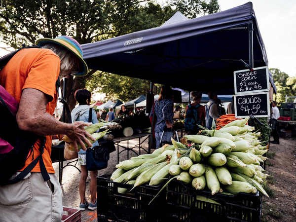 a corn stand at Mullumbimby Farmers Market 