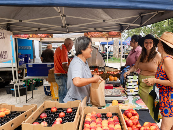 shoppers buying peaches at Murwillumbah Farmers Market