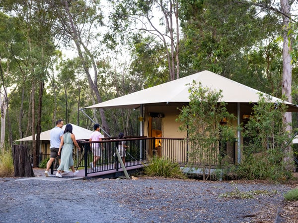 a couple stepping into one of the glamping tents at Paradise Country Farmstay