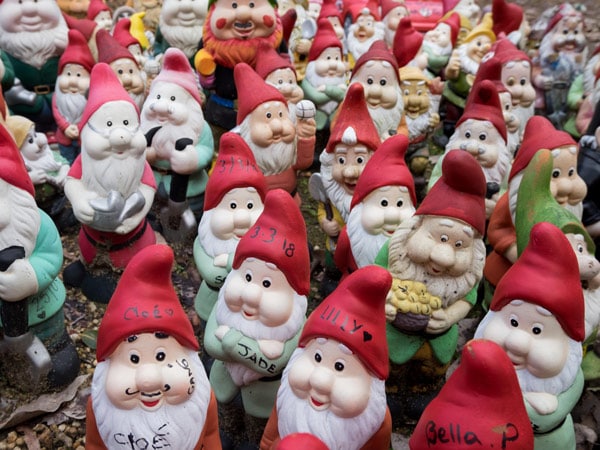 a group of gnomes