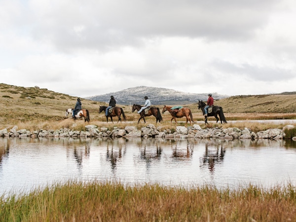 people riding horses at Bogong horseback adventures