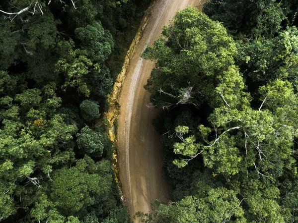 an aerial view of the trees surrounding Round Hill Retreat