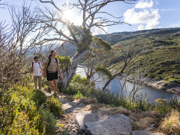 hikers walking across the roof of Australia on the Snowies Alpine Walk