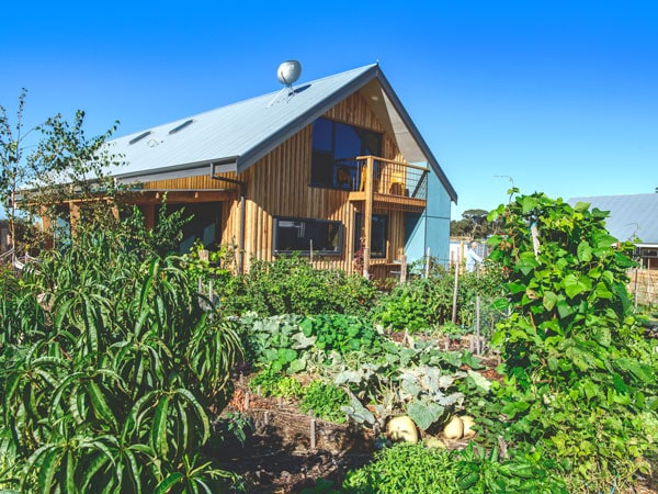 plants surorunding Sorensen house