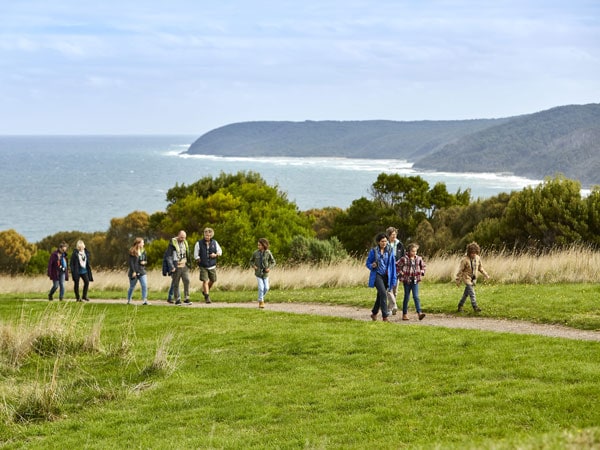 Wildlife Wonders in Victoria