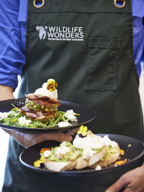 Wildlife Wonders in Victoria