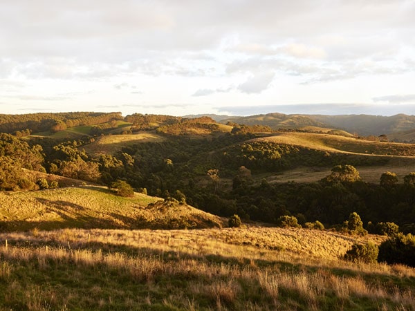 South coast of Victoria