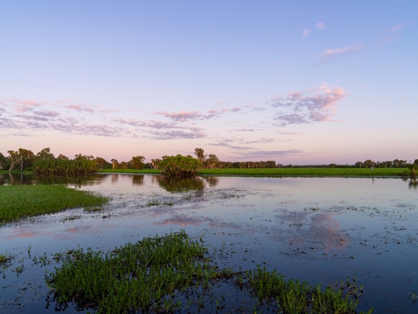 Yellow Water Cruise Kakadu