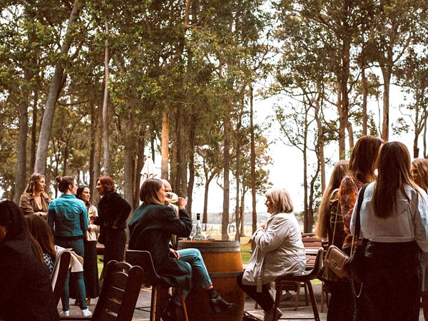 guests dining in the forest