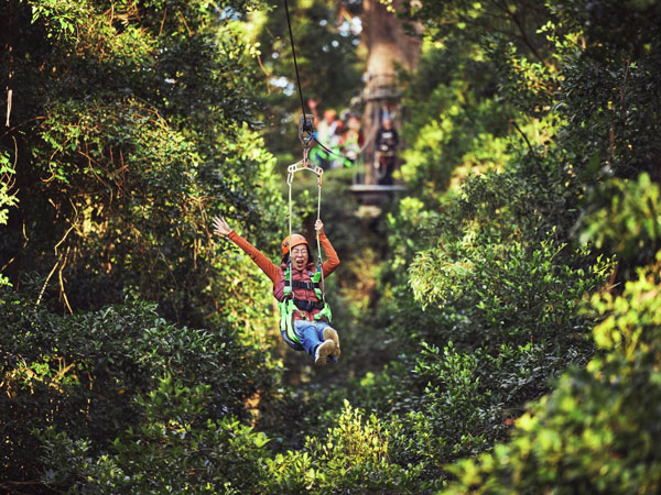 a woman riding a zipline through the canopy at Illawarra Fly Tree Top Adventures
