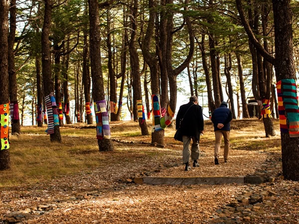 Two people walking through the trees at the National Arboretum in Canberra.